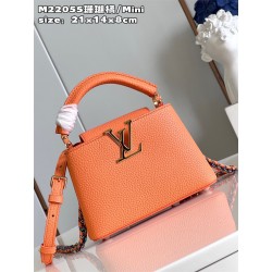 루이비통 카퓌신 미니  M22055 GZ